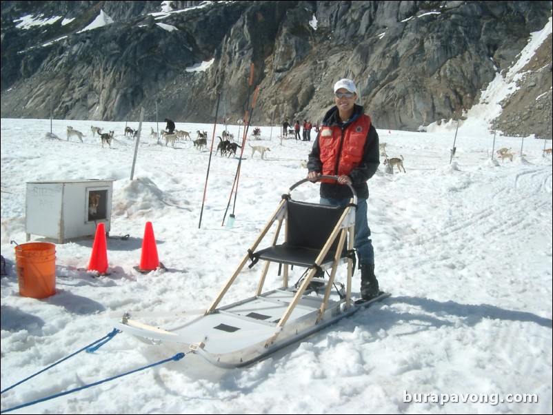 Dog sledding atop the Denver Glacier, Skagway.