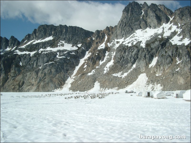 Dog sledding atop the Denver Glacier, Skagway.