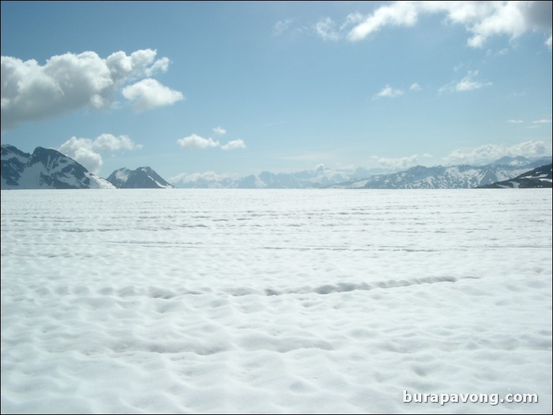 Dog sledding atop the Denver Glacier, Skagway.