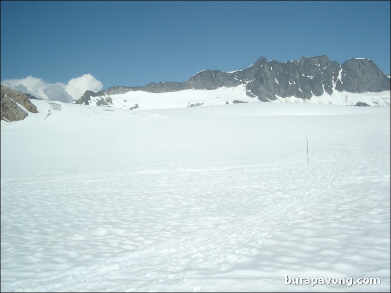 Dog sledding atop the Denver Glacier, Skagway.