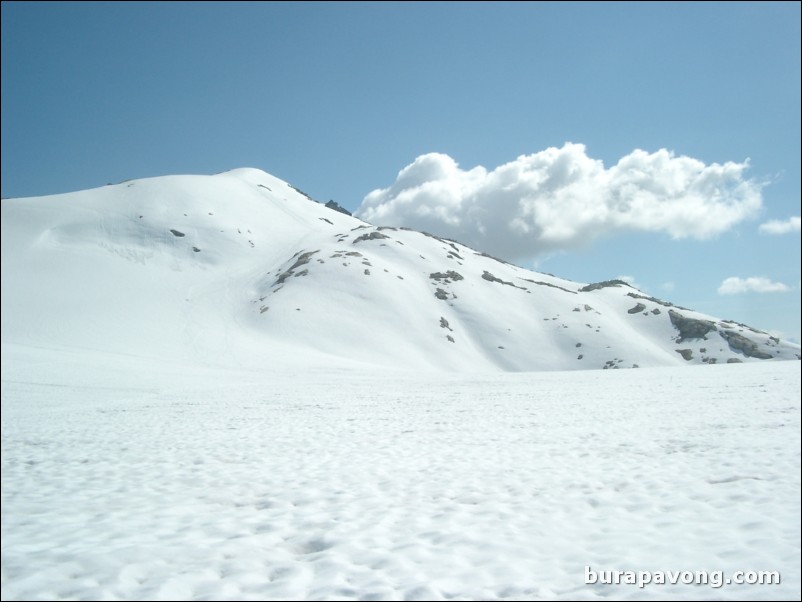 Dog sledding atop the Denver Glacier, Skagway.