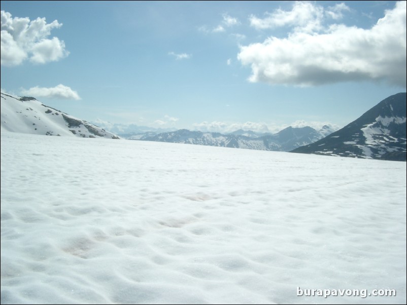 Dog sledding atop the Denver Glacier, Skagway.