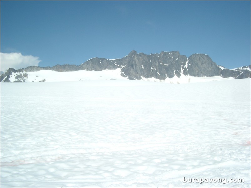 Dog sledding atop the Denver Glacier, Skagway.