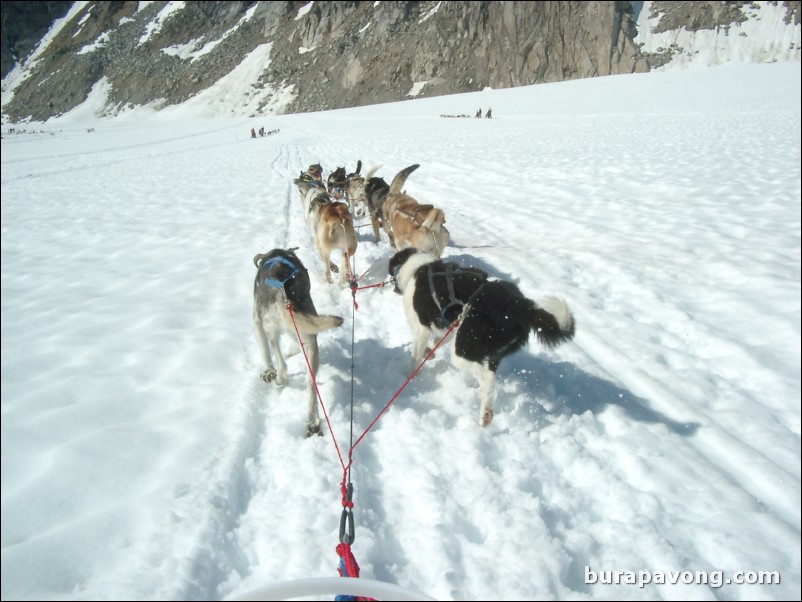 Dog sledding atop the Denver Glacier, Skagway.