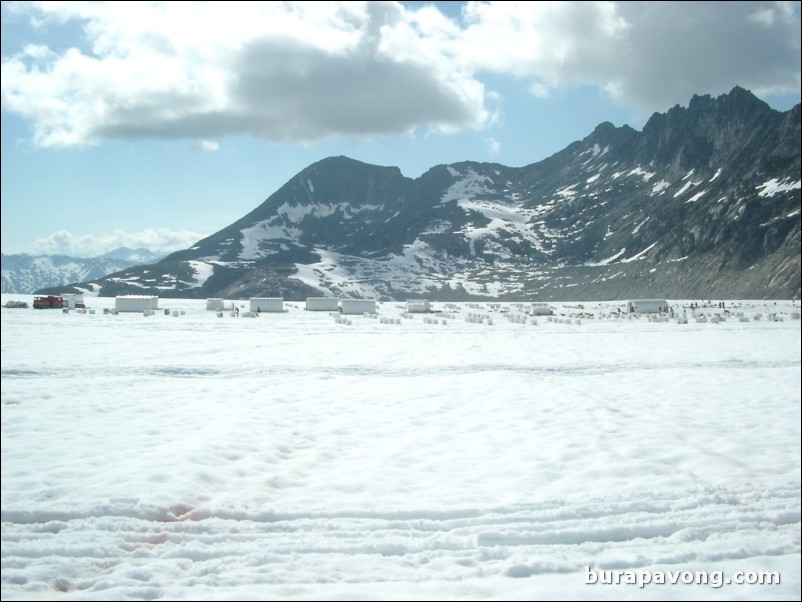 Dog sledding atop the Denver Glacier, Skagway.