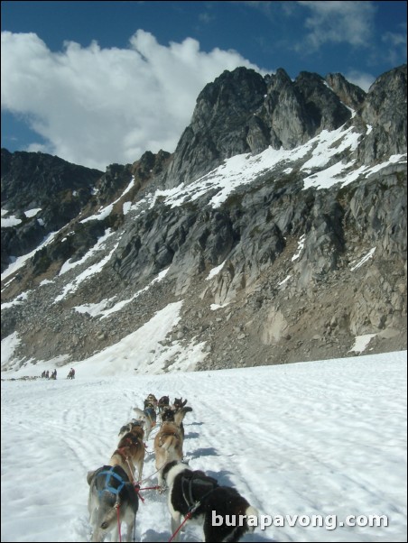 Dog sledding atop the Denver Glacier, Skagway.