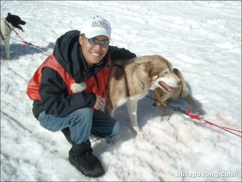 Dog sledding atop the Denver Glacier, Skagway.