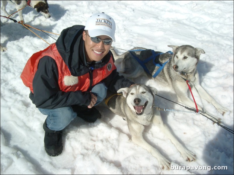 Dog sledding atop the Denver Glacier, Skagway.