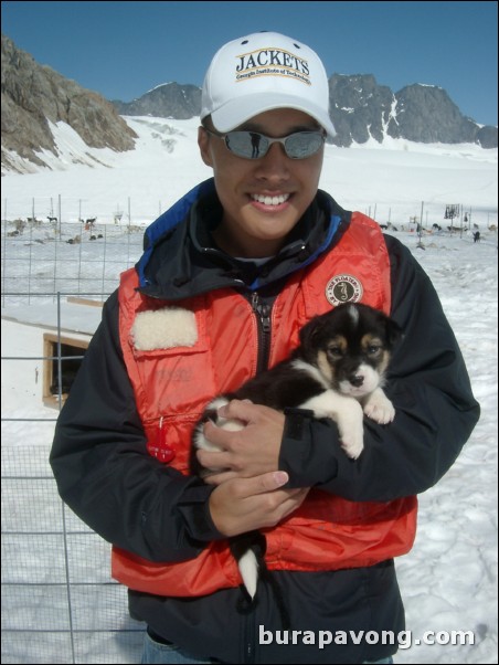 Holding an Alaskan Husky puppy. Dog sledding camp, Denver Glacier, Skagway.