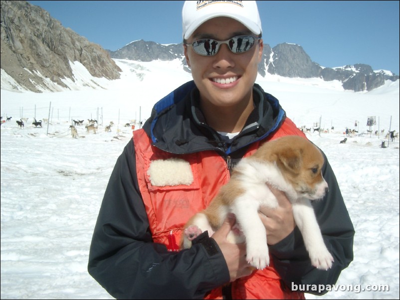 Holding an Alaskan Husky puppy. Dog sledding camp, Denver Glacier, Skagway.