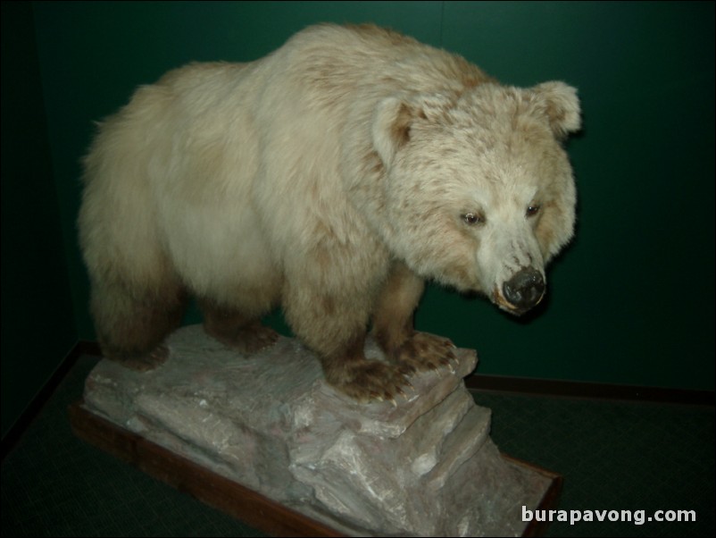 Corrington Museum of Alaskan History.