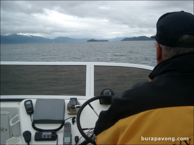 Whale watching in Juneau.