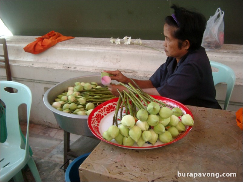 Woman preparing Lotus for worshipping, Wat Phra Mongkol Bophit.