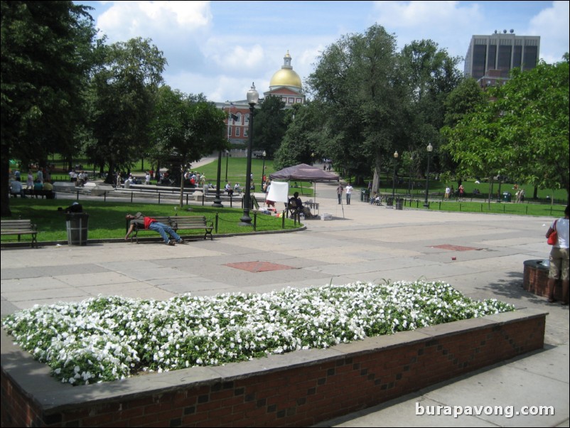 Boston Common and State House in the background. Boston Duck Tour.