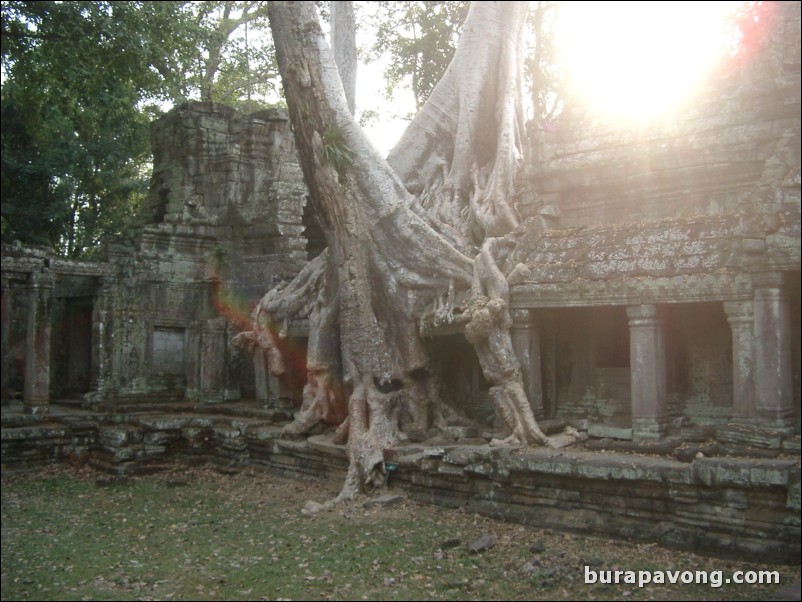 Preah Khan.