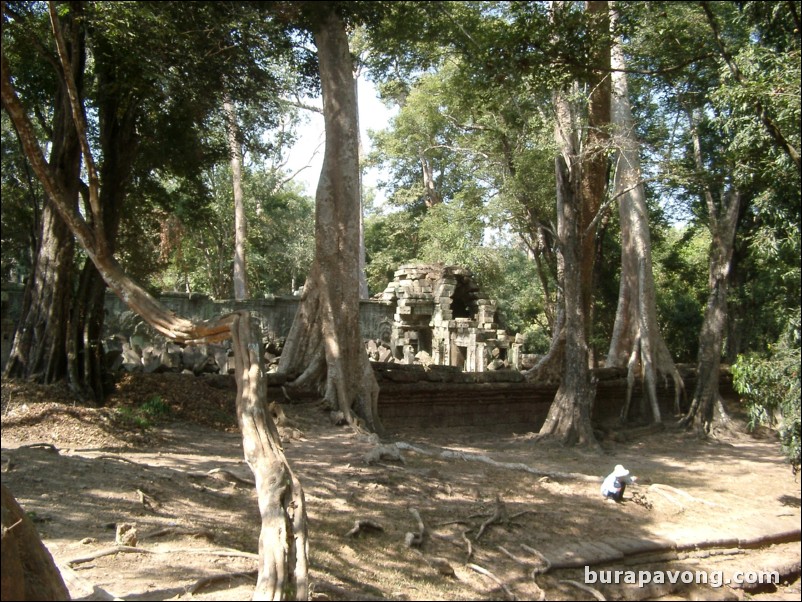 Ta Prohm.