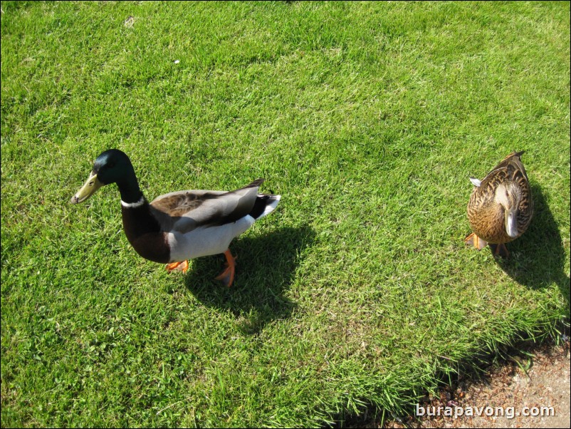 Frederiksberg Park.