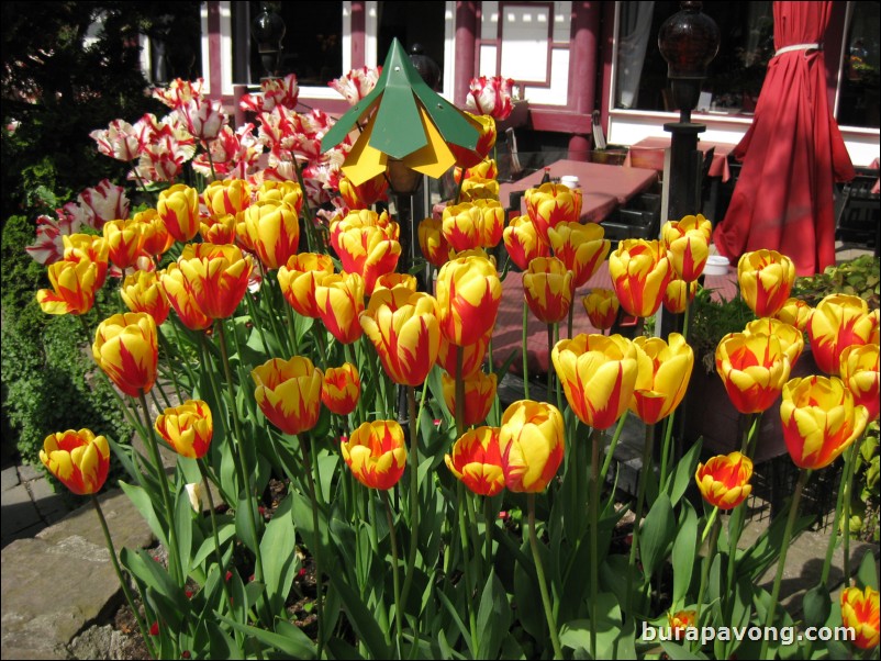 Tivoli Gardens.