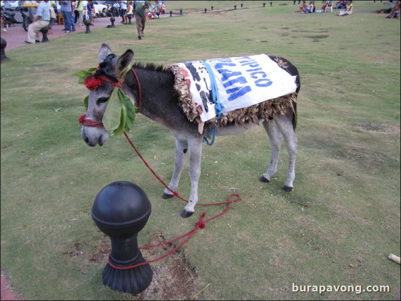 Riding donkey outside of fort.