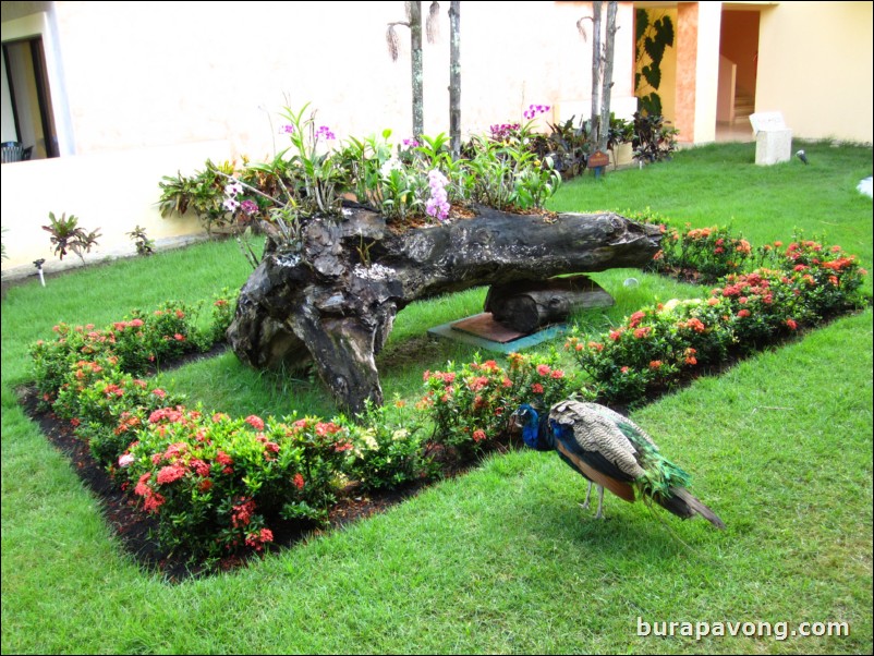 Iberostar Costa Dorada.