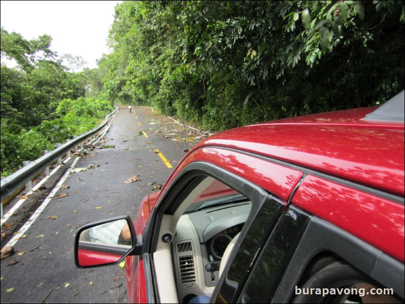 Heading up to Pico Isabel de Torres.