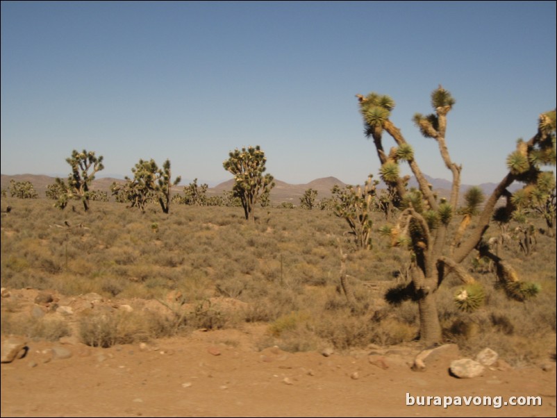 Heading towards Grand Canyon West Rim.