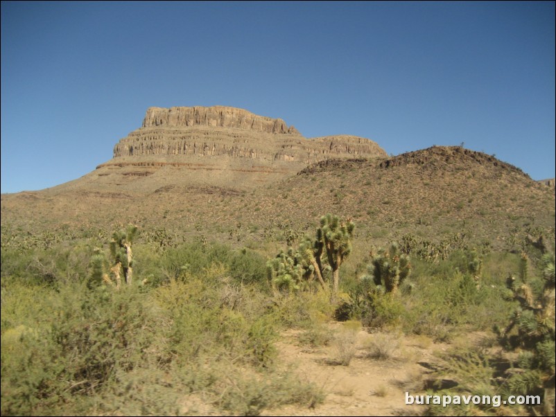 Heading towards Grand Canyon West Rim.