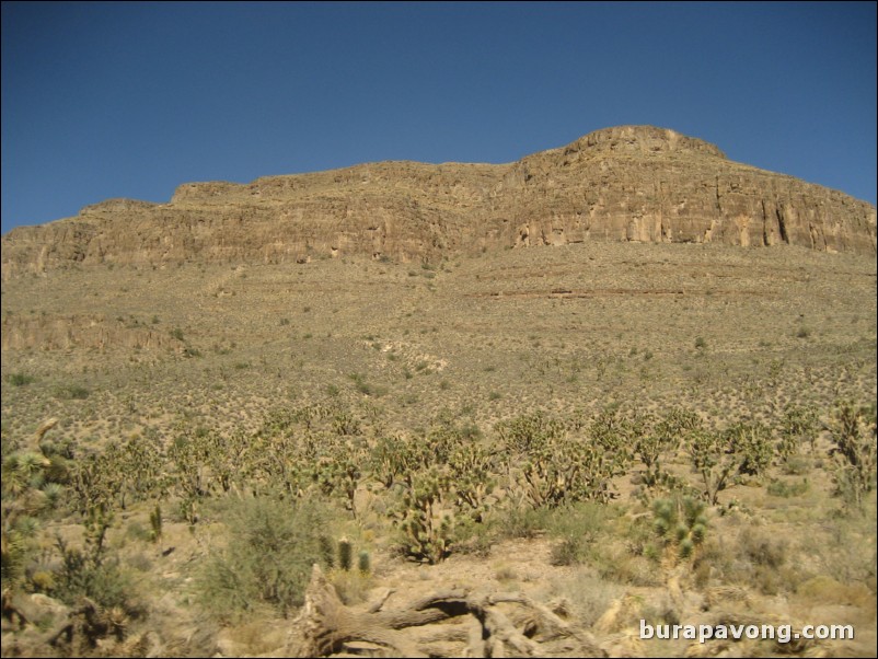 Heading towards Grand Canyon West Rim.