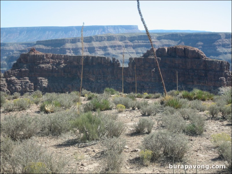 Grand Canyon West Rim.