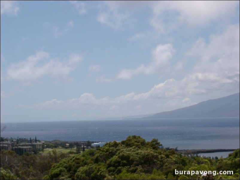 Kapalua Resort - Plantation Course.