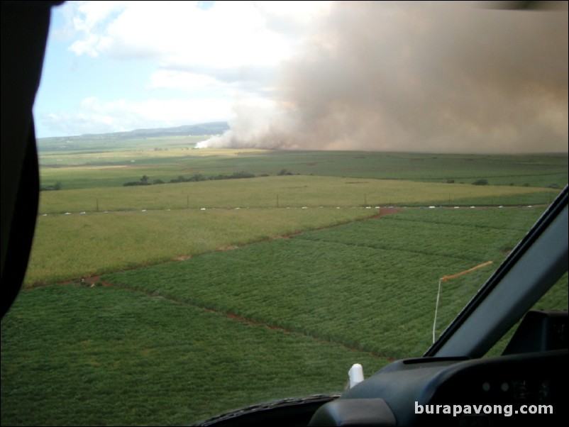 Views of Maui from inside helicopter.