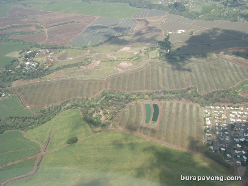 Views of Maui from inside helicopter.