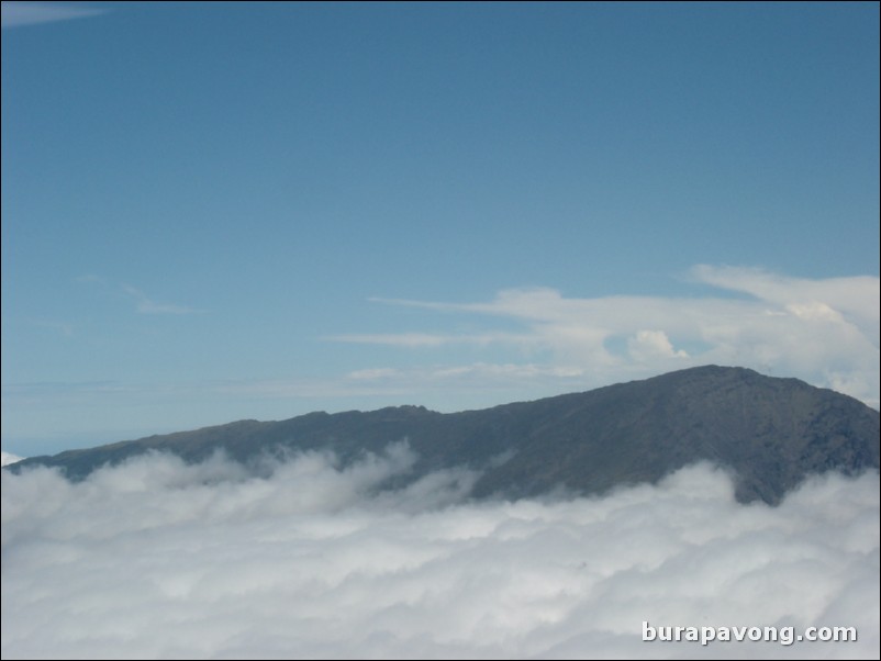 Views of Maui from inside helicopter.