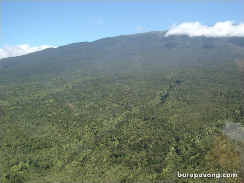 Views of Maui from inside helicopter.