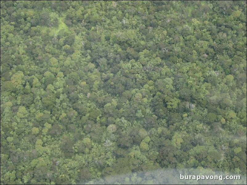 Views of Maui from inside helicopter.