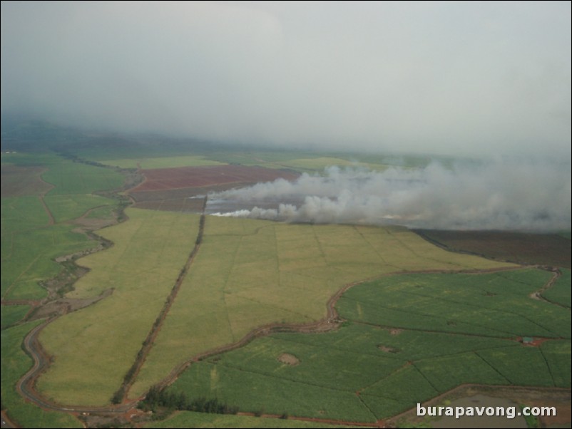 Views of Maui from inside helicopter.