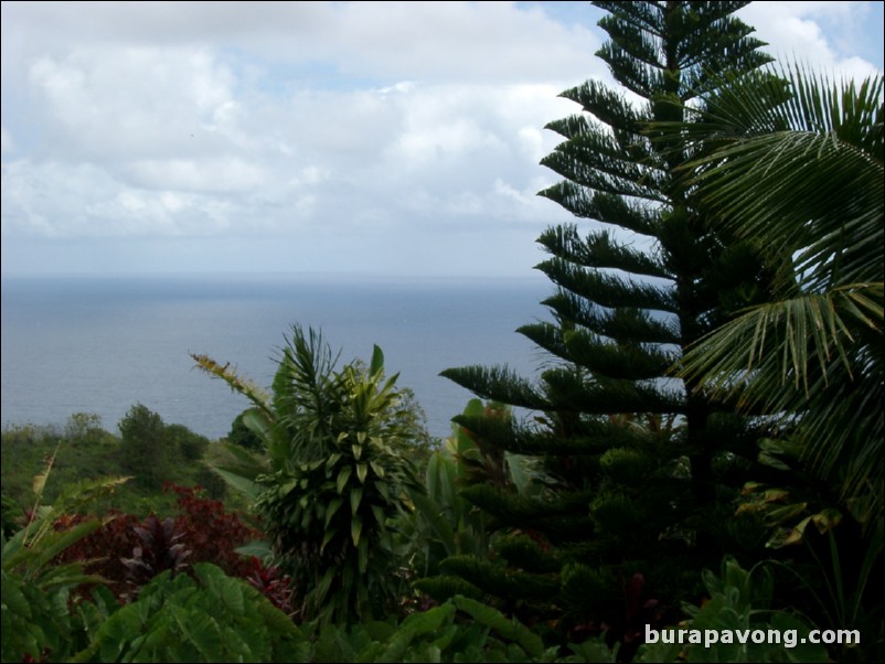 Views from Maui's 'Garden of Eden' botanical gardens between Kailua and Kaenae.