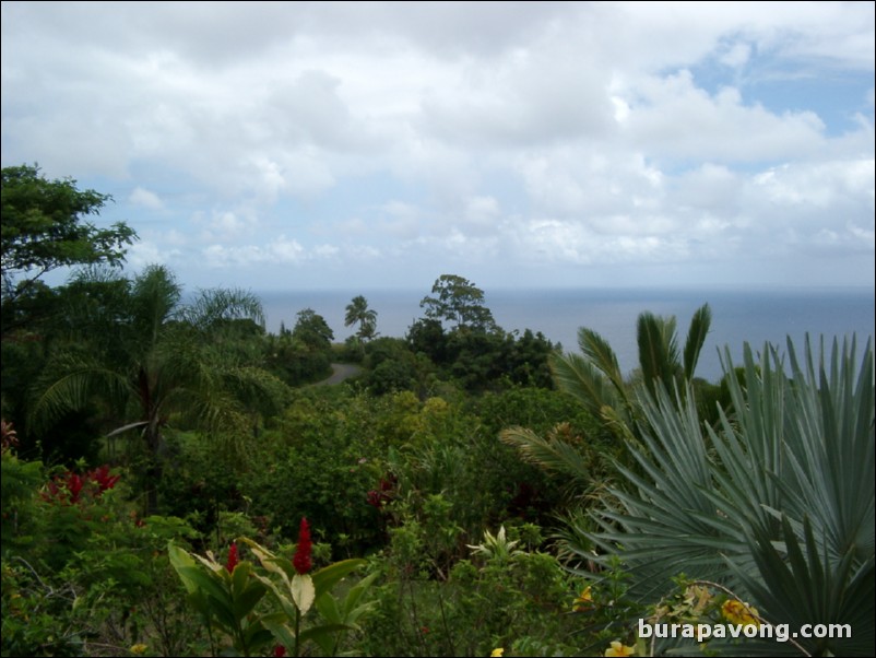 Views from Maui's 'Garden of Eden' botanical gardens between Kailua and Kaenae.