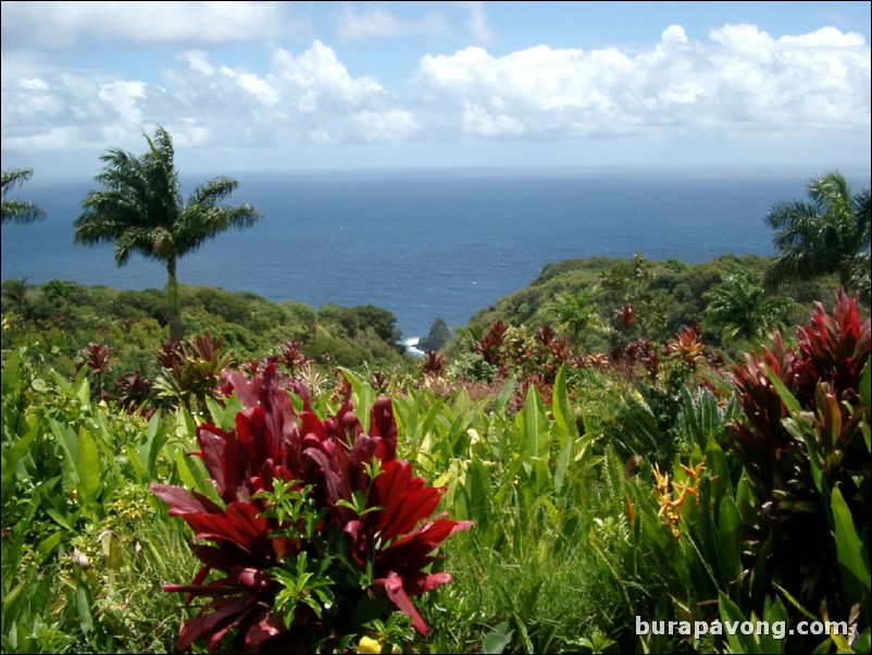 Views from Maui's 'Garden of Eden' botanical gardens between Kailua and Kaenae.