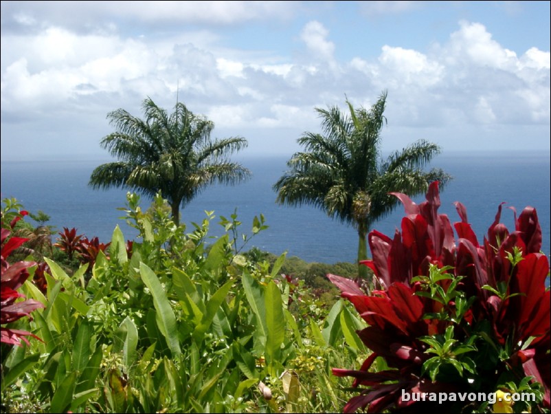 Views from Maui's 'Garden of Eden' botanical gardens between Kailua and Kaenae.