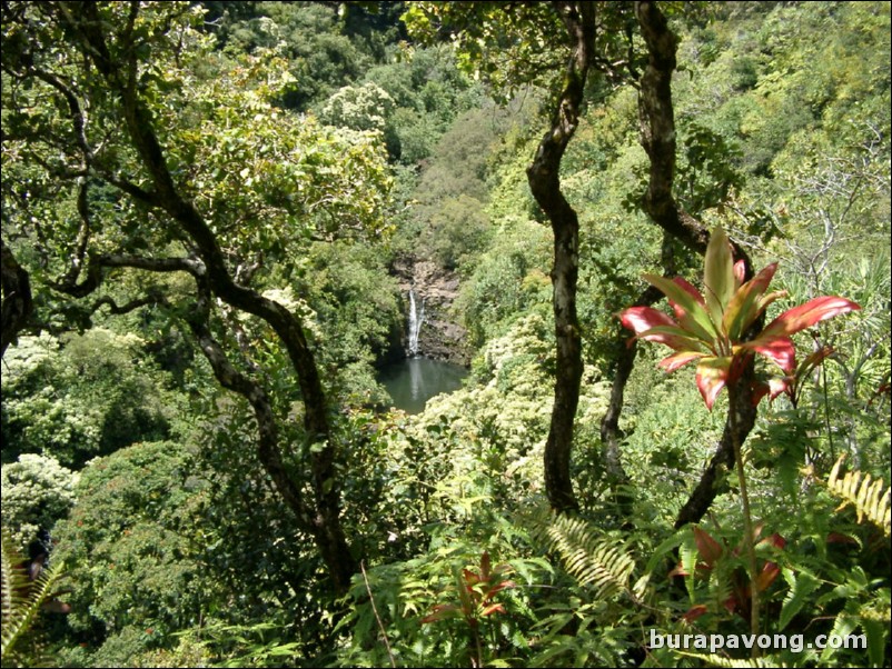 Views from Maui's 'Garden of Eden' botanical gardens between Kailua and Kaenae.