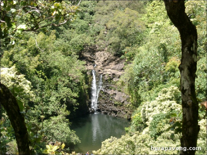 Views from Maui's 'Garden of Eden' botanical gardens between Kailua and Kaenae.