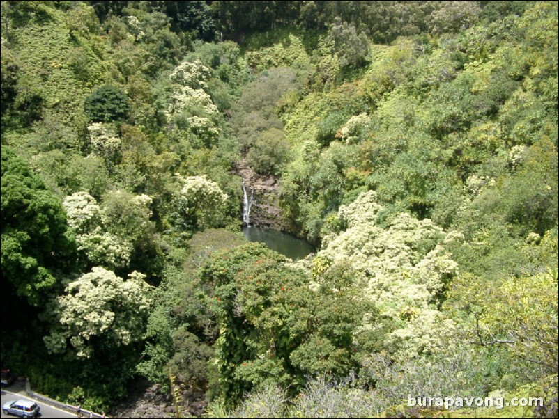 Views from Maui's 'Garden of Eden' botanical gardens between Kailua and Kaenae.