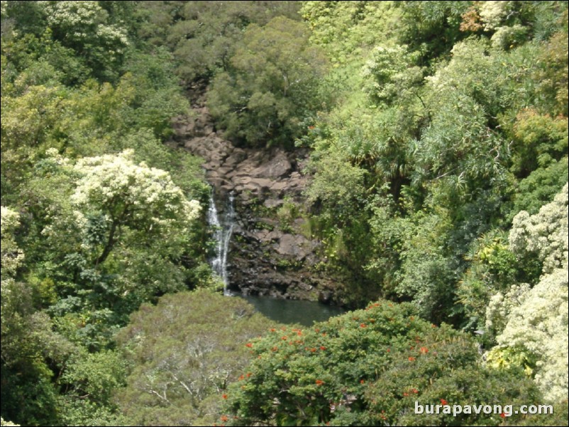 Views from Maui's 'Garden of Eden' botanical gardens between Kailua and Kaenae.