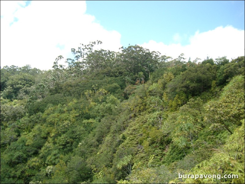 Views from Maui's 'Garden of Eden' botanical gardens between Kailua and Kaenae.