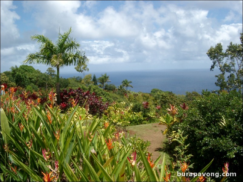 Views from Maui's 'Garden of Eden' botanical gardens between Kailua and Kaenae.