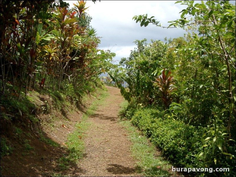 Views from Maui's 'Garden of Eden' botanical gardens between Kailua and Kaenae.