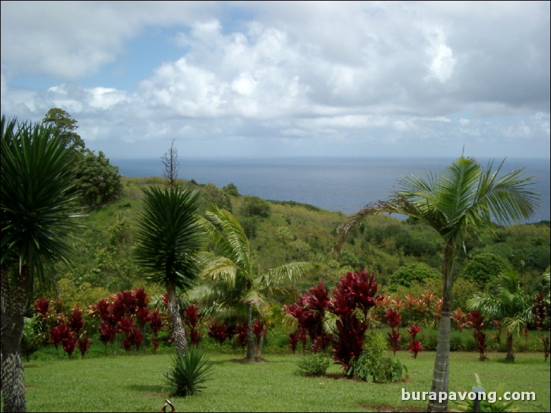 Views from Maui's 'Garden of Eden' botanical gardens between Kailua and Kaenae.