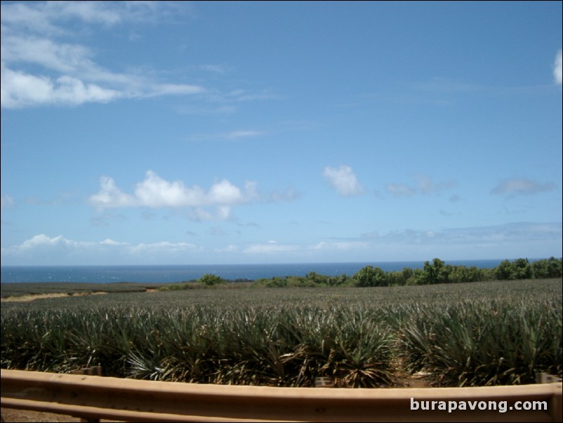 View from Hana Highway.