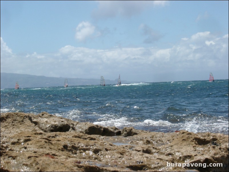 Windsurfers.